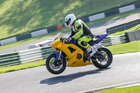 cadwell-no-limits-trackday;cadwell-park;cadwell-park-photographs;cadwell-trackday-photographs;enduro-digital-images;event-digital-images;eventdigitalimages;no-limits-trackdays;peter-wileman-photography;racing-digital-images;trackday-digital-images;trackday-photos